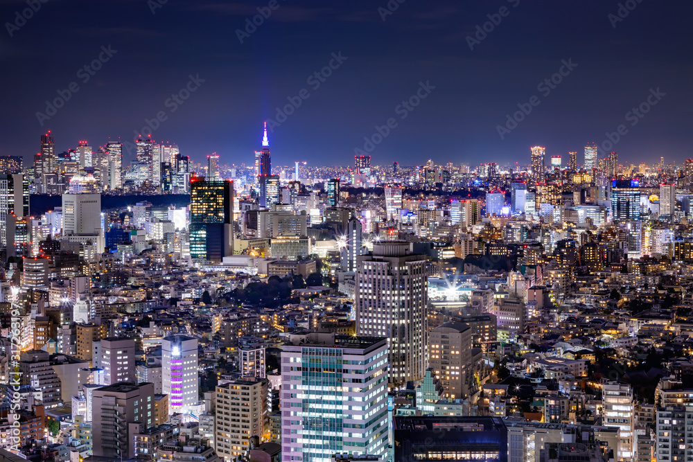 光が溢れる東京の夜景