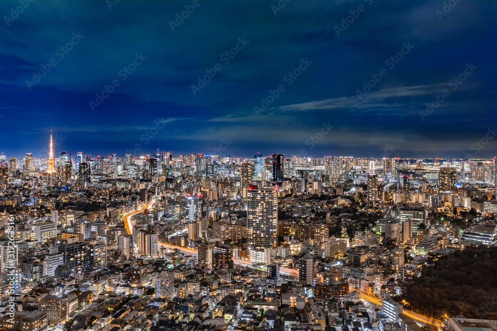 光が溢れる東京の夜景