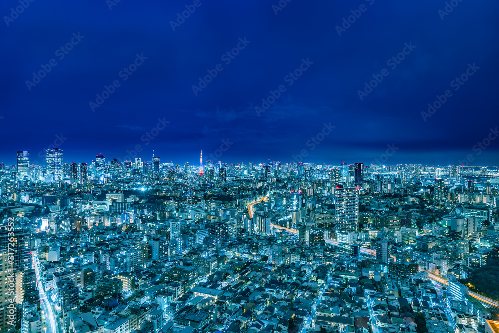 光が溢れる東京の夜景