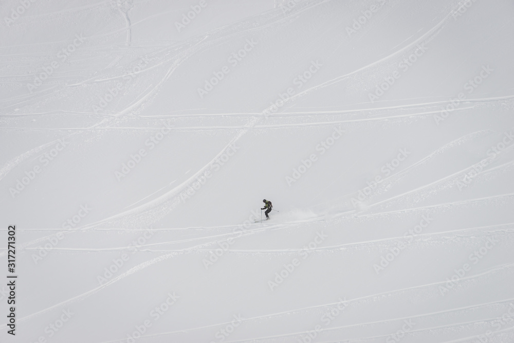 惠斯勒滑雪者