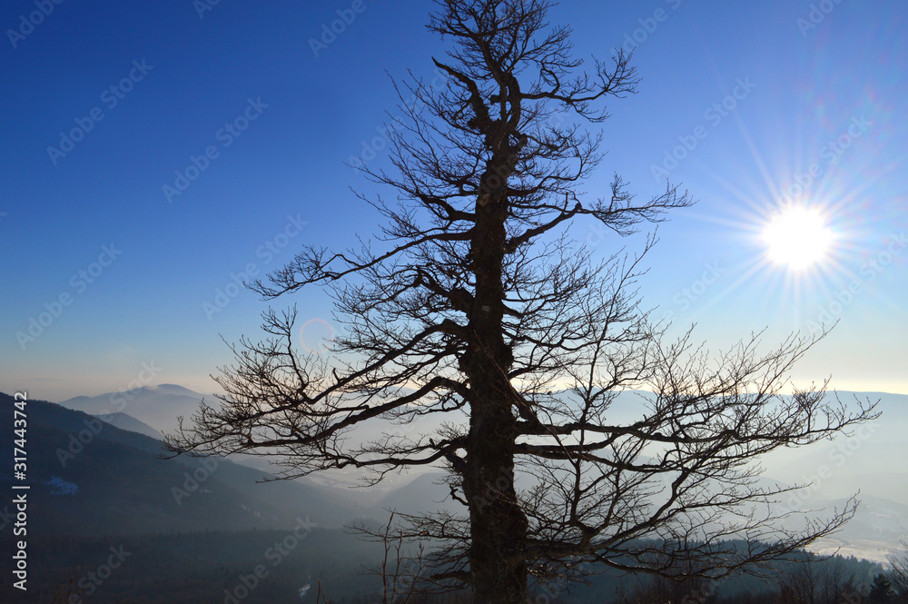 喀尔巴阡山脉美丽的冬季景观