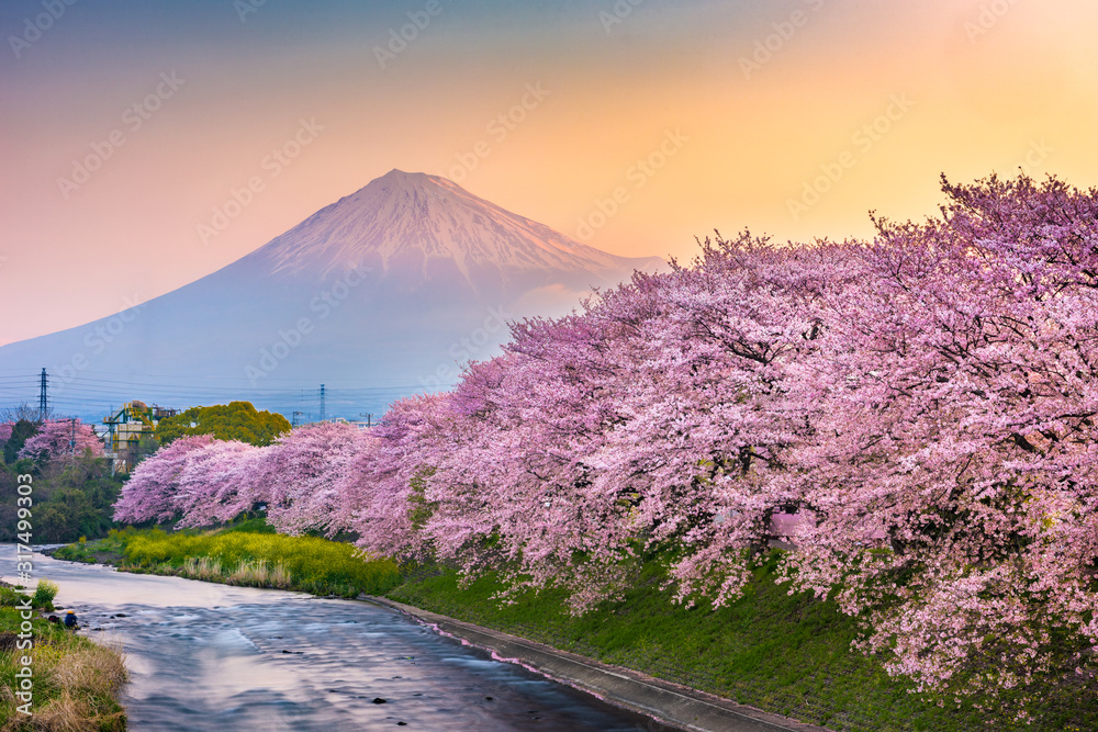 春天的日本静冈县富士山