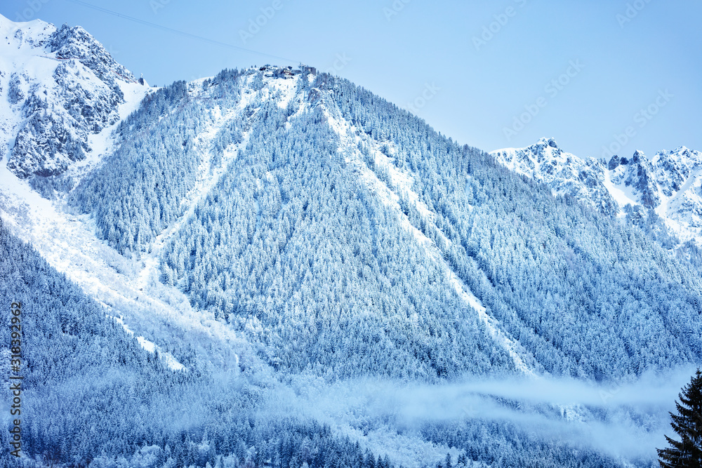 Auvergne，冬季，Le Brevent山的景色，陡坡上有雪冷杉和松树。