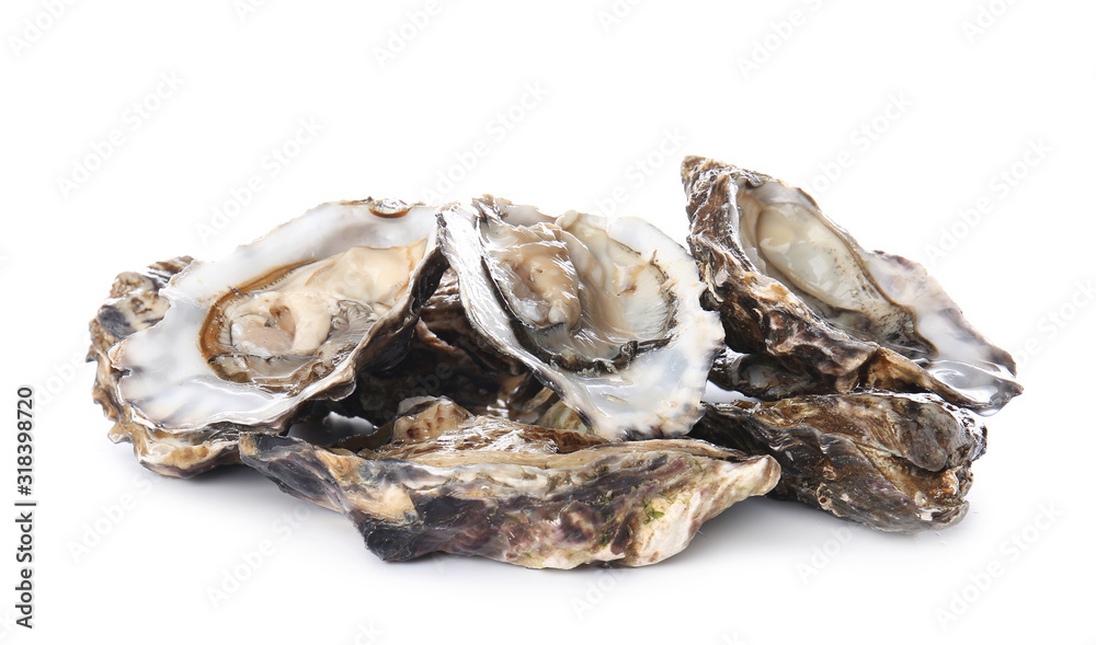 Tasty oysters on white background