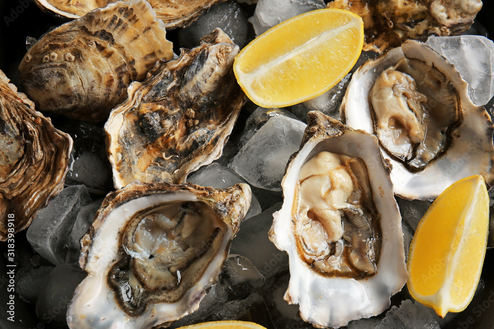 Tasty cold oysters with lemon, closeup