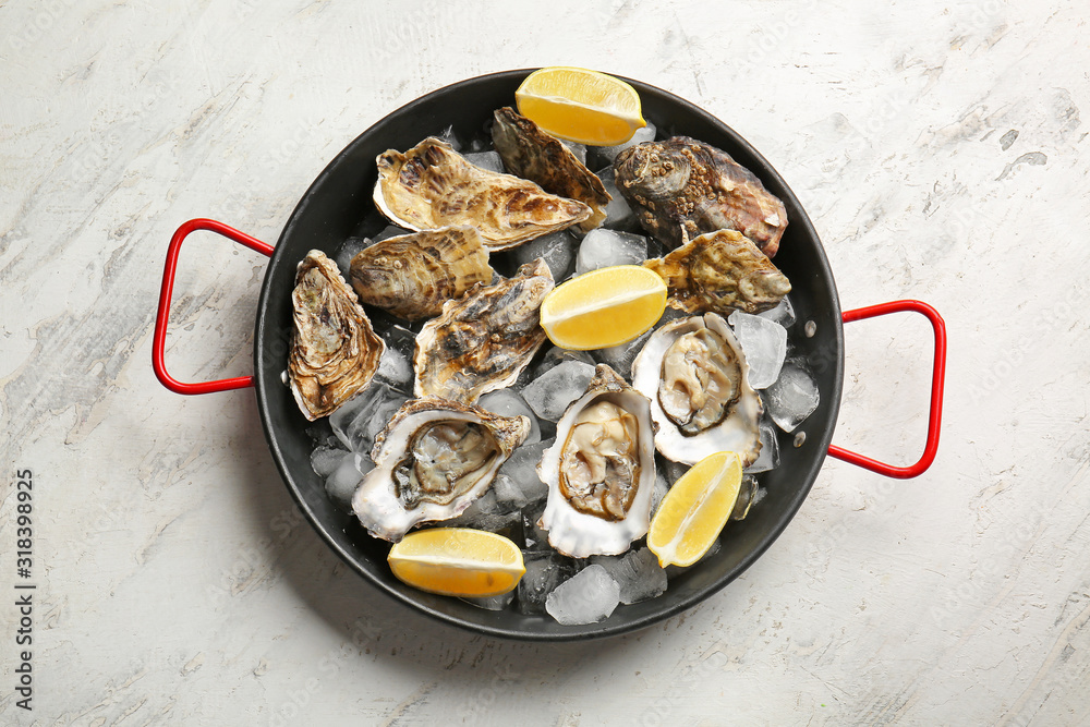 Pan with tasty cold oysters on white background