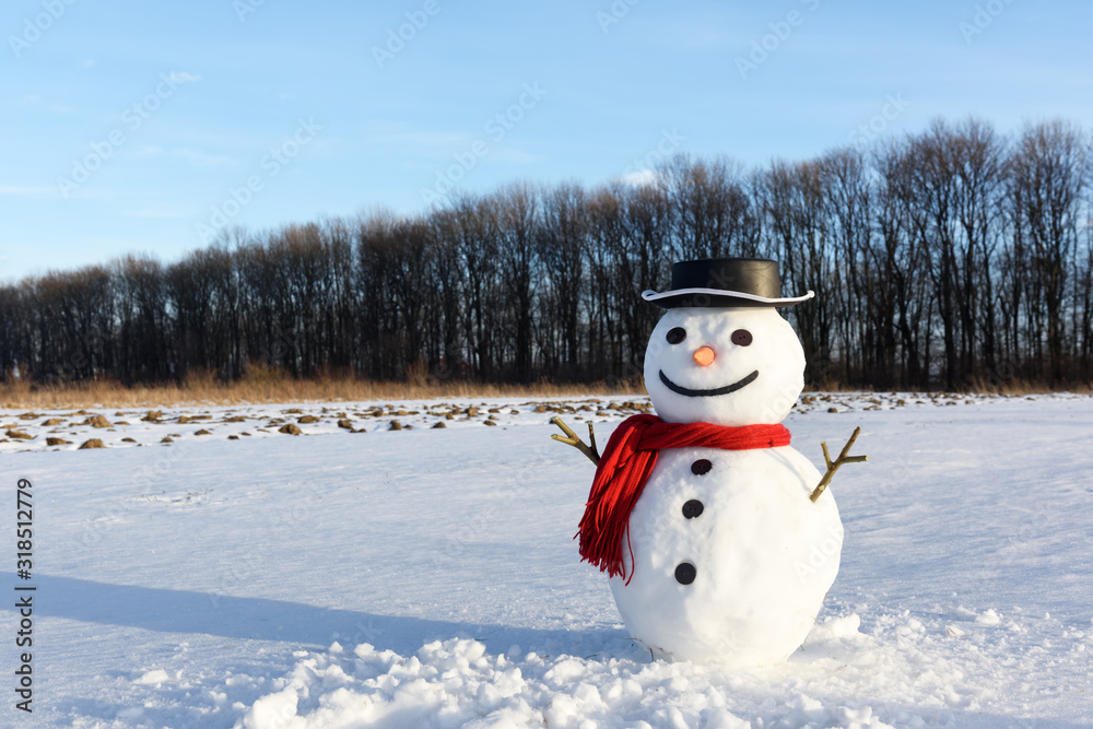 雪地上戴着时髦的黑色帽子和红色鳞片的有趣雪人。圣诞快乐，新年快乐