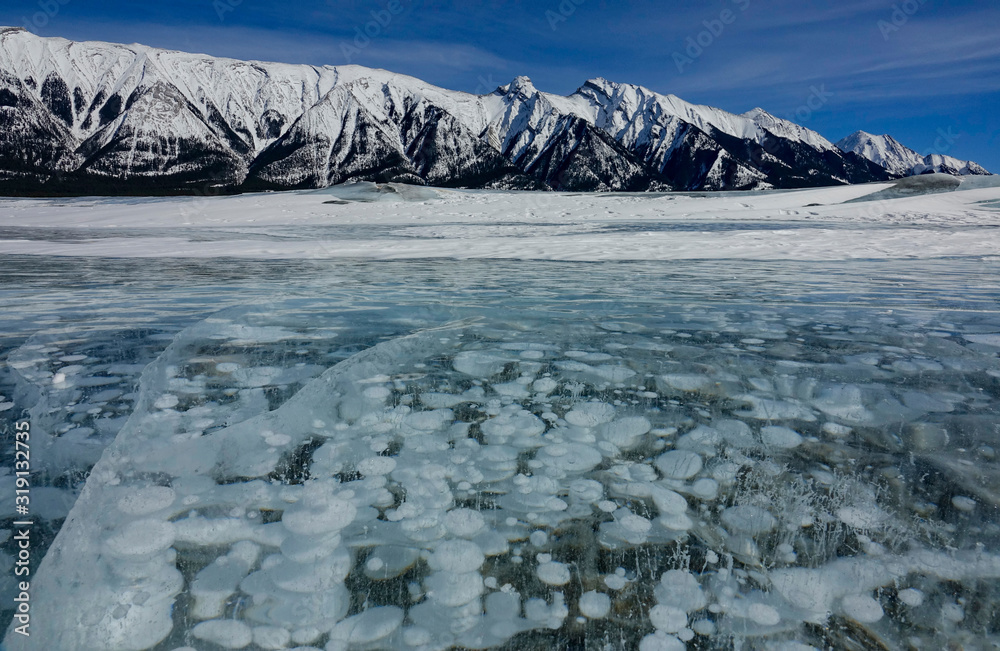 特写：雪山下充满气泡的亚伯拉罕湖的壮观景色