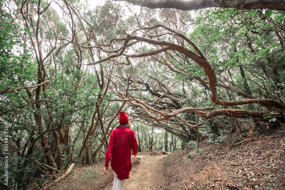 一名女子穿着休闲的红色衬衫，戴着帽子，在美丽的雨林中徒步旅行，乘坐特尼里夫号