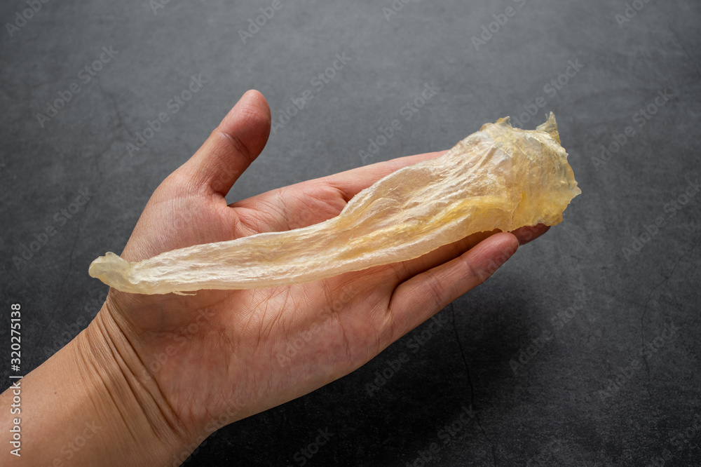 Hand holding golden yellow catfish glue on black background