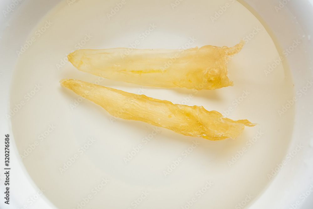 Traditional health and nourishing food Maw, catfish glue soaked in water