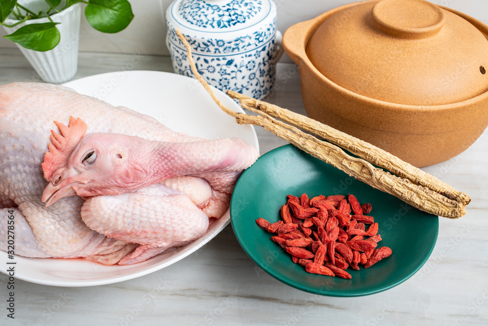 Chinese nutritious health soup ingredients, fresh hen and Codonopsis medlar