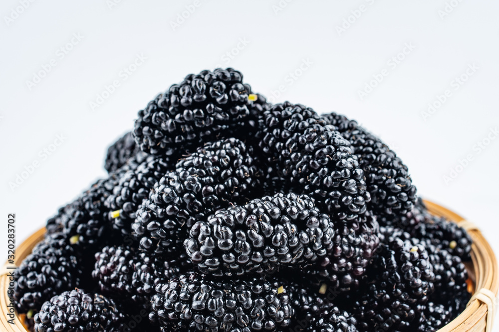 Fresh ripe black mulberry closeup