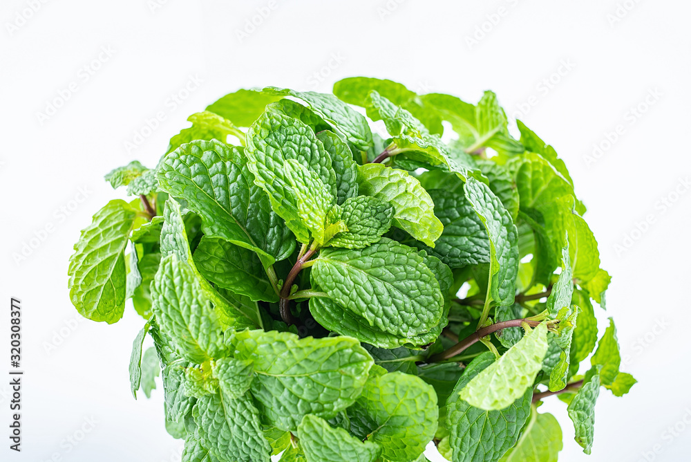 A handful of fresh spice mint leaves on white background