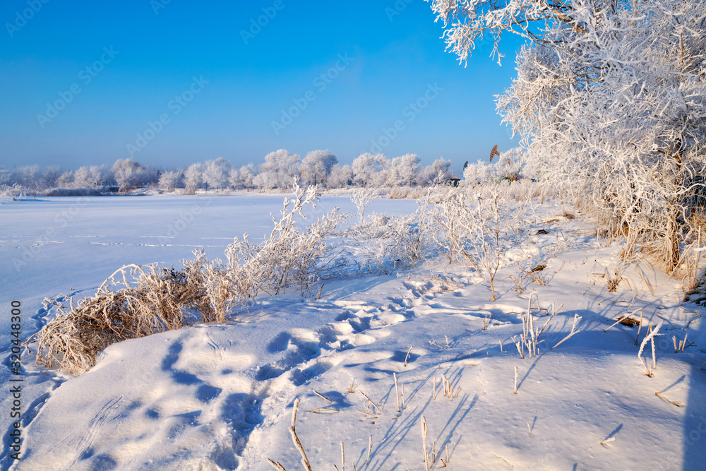 Soft rime and snow scenic of winter season