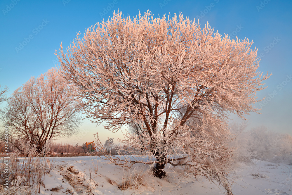 冬季柔和的雾凇和雪景