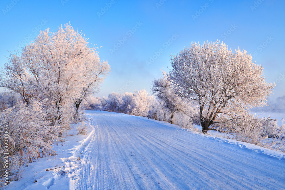 Soft rime and snow scenic of winter season