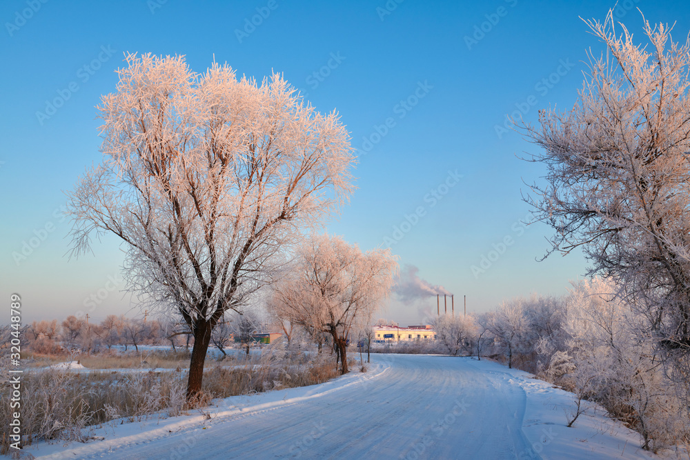 冬季柔和的雾凇和雪景