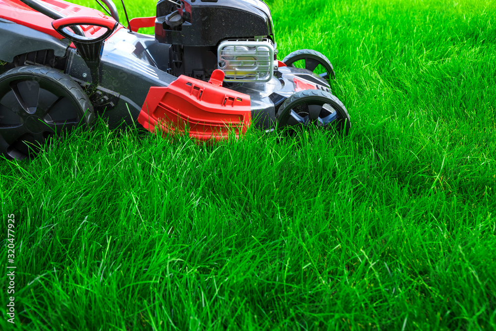 Lawn mower cutting green grass in backyard, mowing lawn