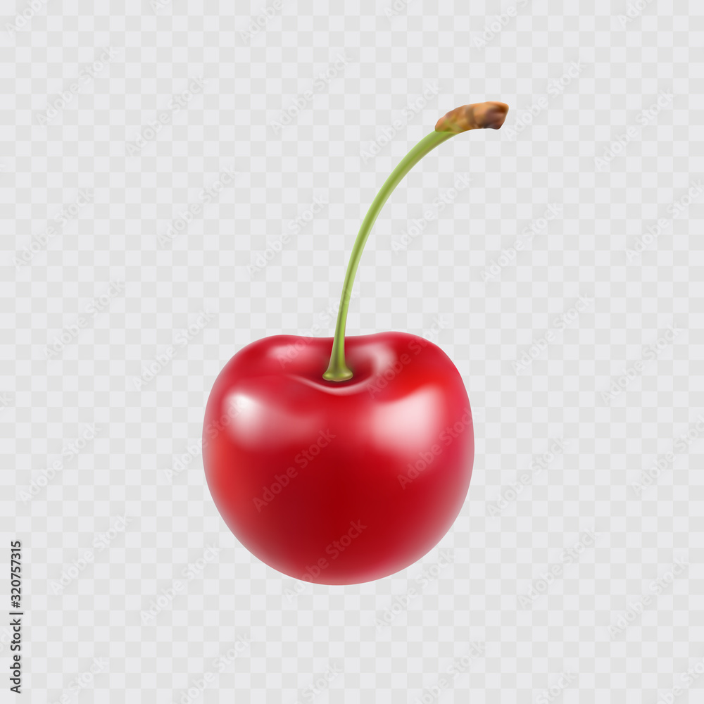 Cherry isolated on transparent background. Sweet 3d red berry icon. Vector realistic food element..