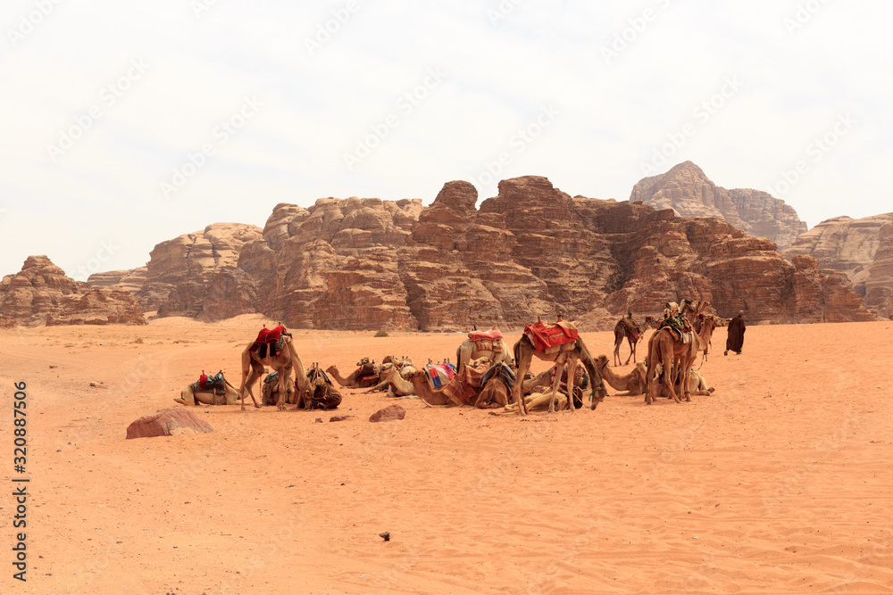 约旦Wadi Rum骆驼沙漠全景