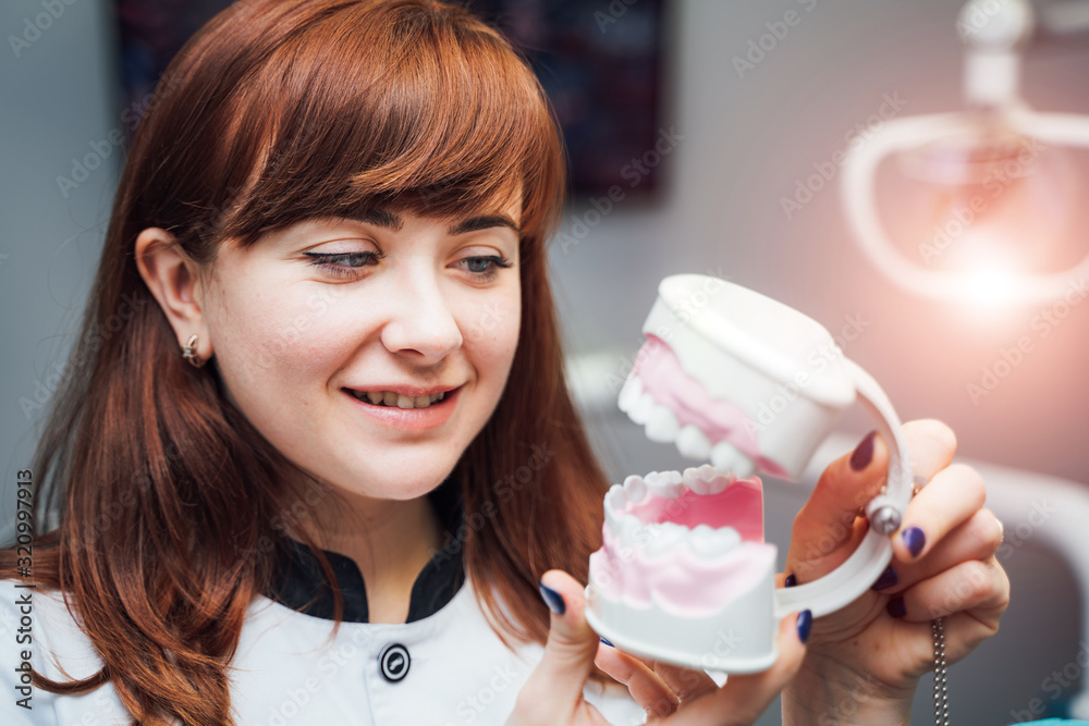 Female dentist hand in medical purple gloves holding teeth model.