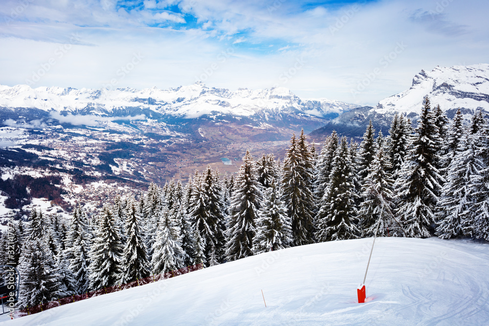 Panorama of valley and snow covered firs of Mont-Blanc, Chamonix region, Auvergne-Rhone-Alpes in sou