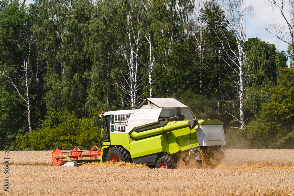 combine harvester working on a wheat field