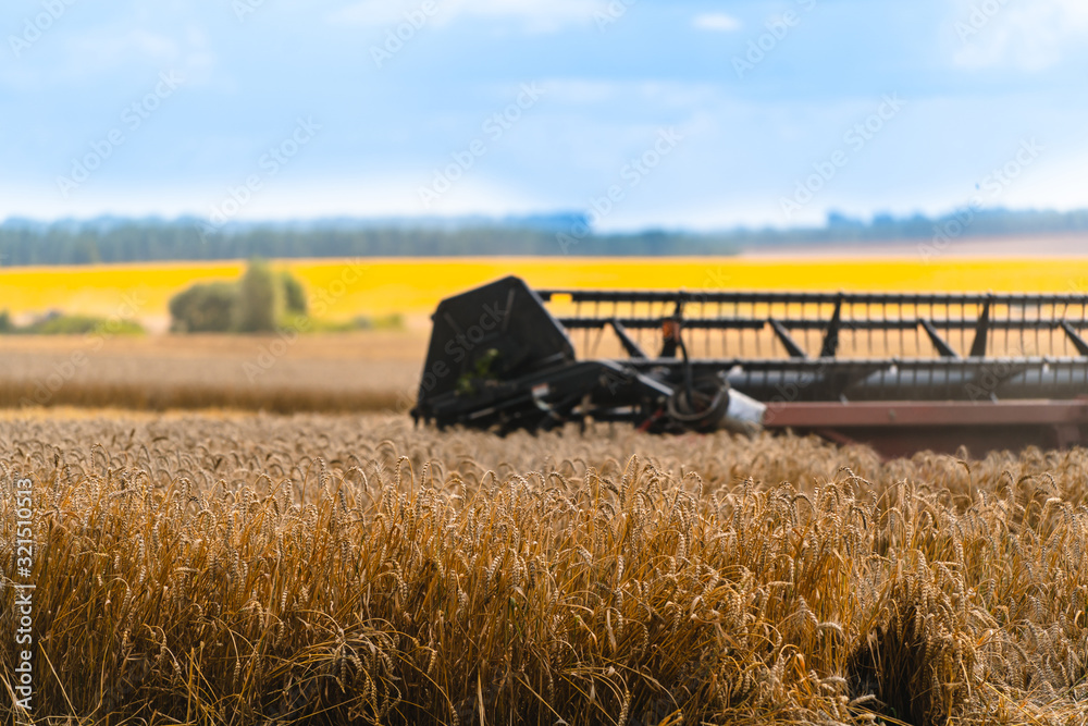 combine harvester working on a wheat field