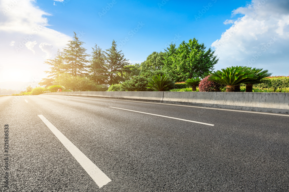 Asphalt road and green forest in summer.