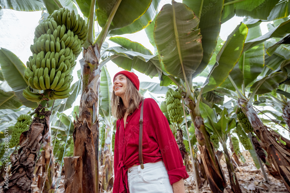 Woman as a tourist or farmer dressed casually in red shirt and hat walking on the banana plantation 