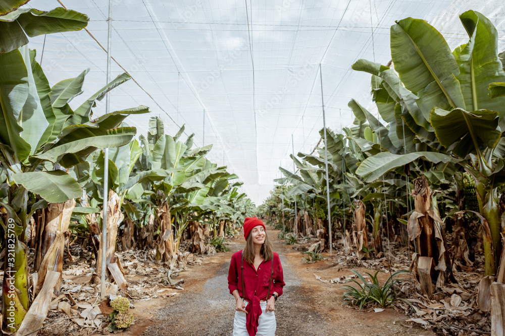 Woman as a tourist or farmer dressed casually in red and white walking between banana rows at the pl