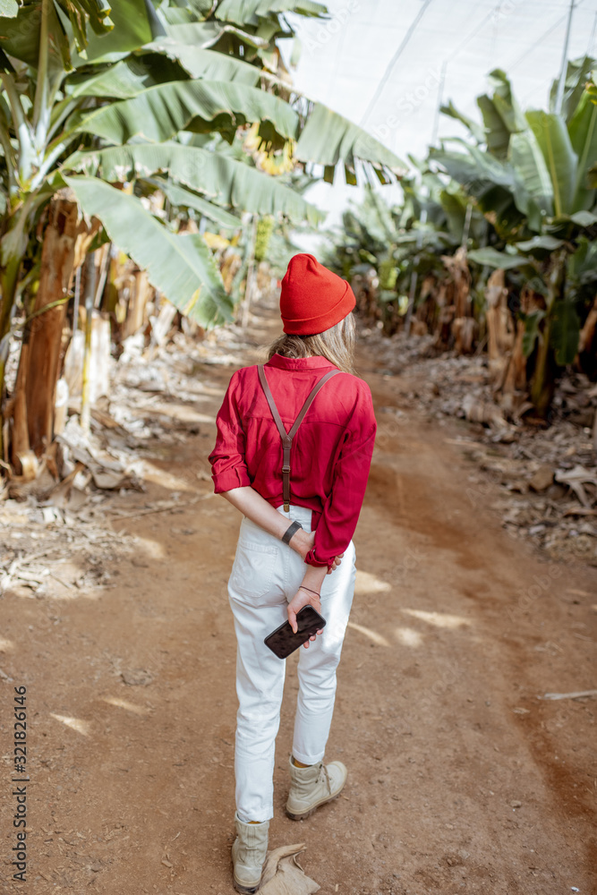 Woman as a tourist or farmer dressed casually in red and white walking between banana rows at the pl