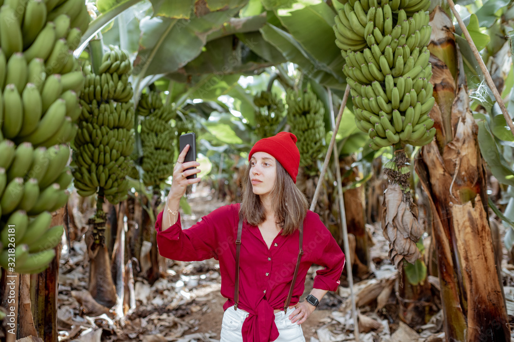 Woman as a tourist dressed in red exploring banana plantation, photographing or vlogging on phone. C