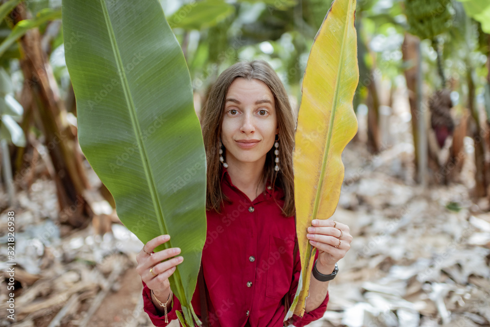 Portrait of a young woman hiding behind fresh and dry banana leaves on the plantation. Skin care con