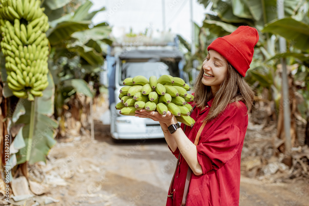 Portrait of a young woman as a tourist or worker carrying banana stem on the plantation during a har