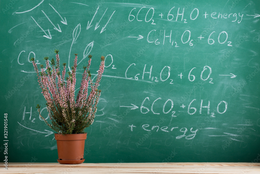 Education and science concept - photosynthesis shem and formula on the blackboard in the auditorium