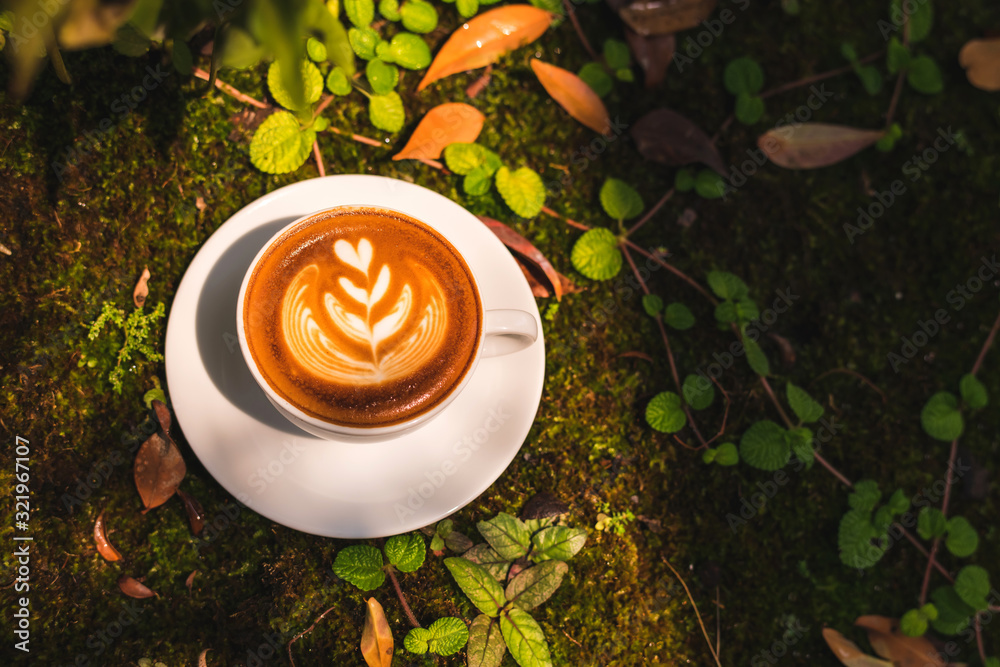 The coffee in the cup is beautifully decorated in brown tones.