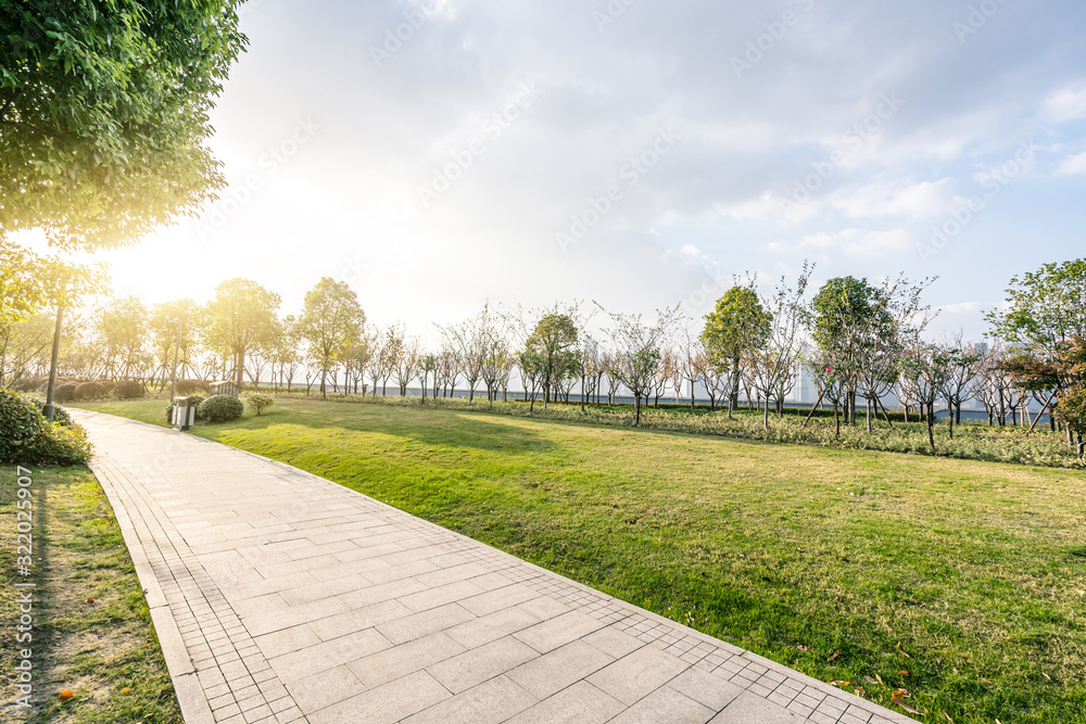 road in park