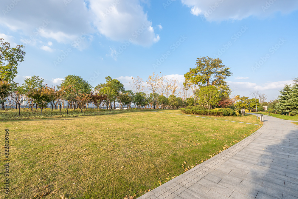 road in park