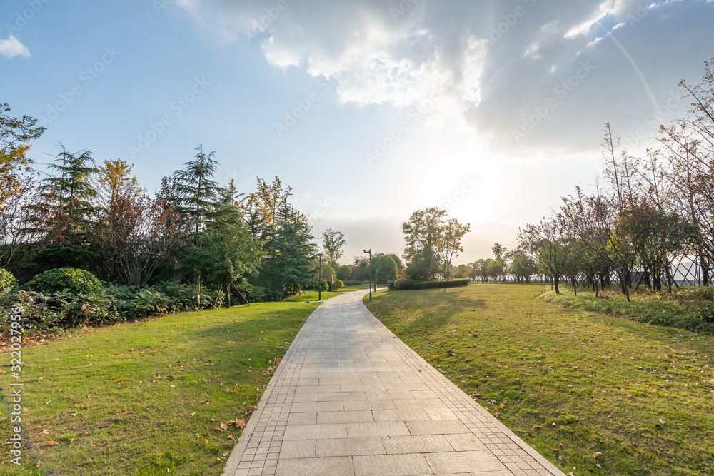 road in park