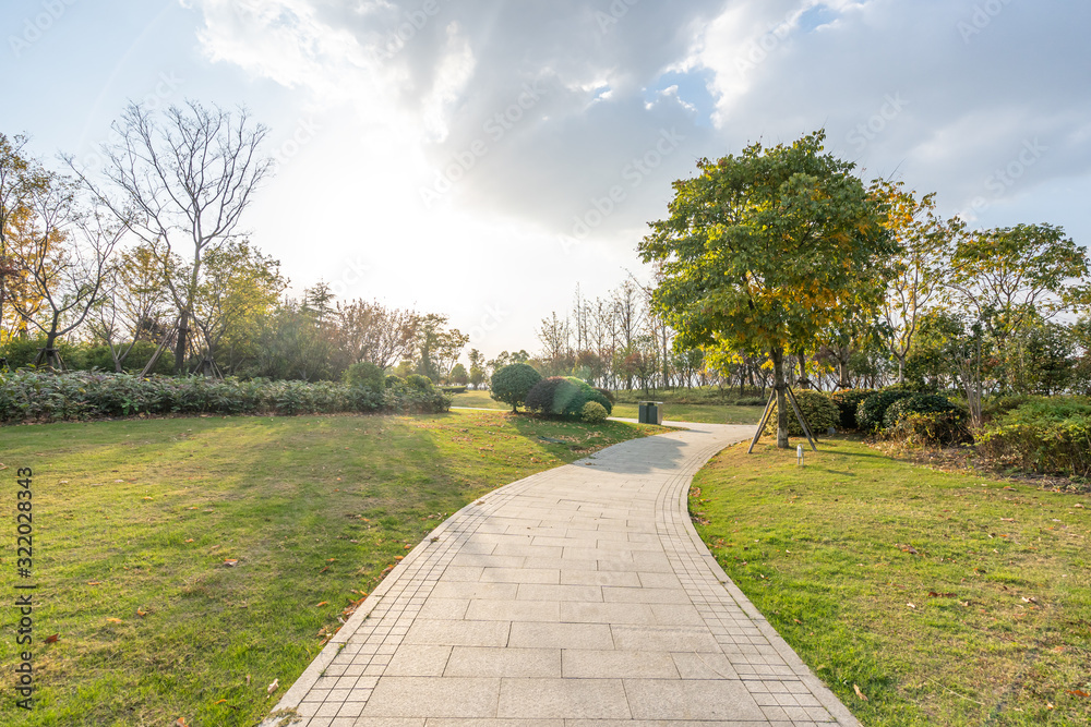 road in park