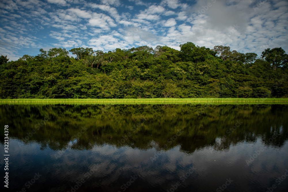 The Trombetas River is one of the main rivers of the Brazilian Amazon rainforest and holds an exuber