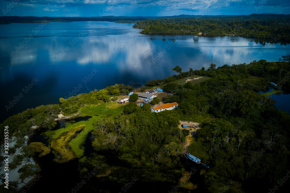 Amazon rainforest seen from above reveals the beauty of its rivers, trees and animals. Pará, Brazil