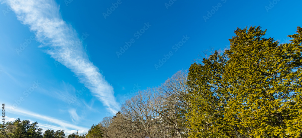 冬の澄んだ青空と雲