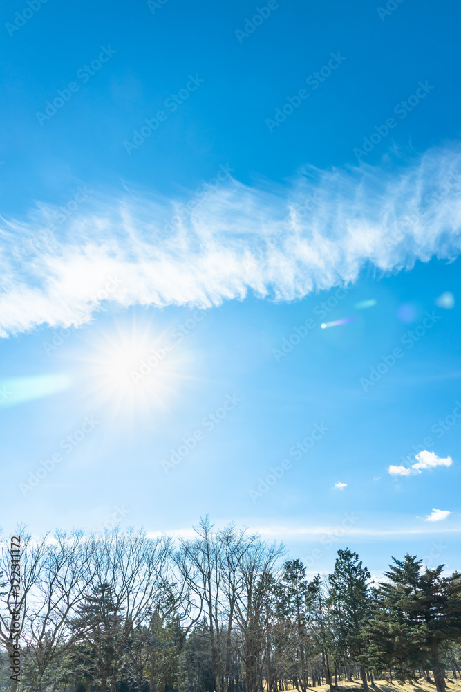 冬の澄んだ青空と雲