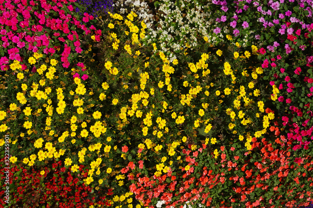 Flowers texture background