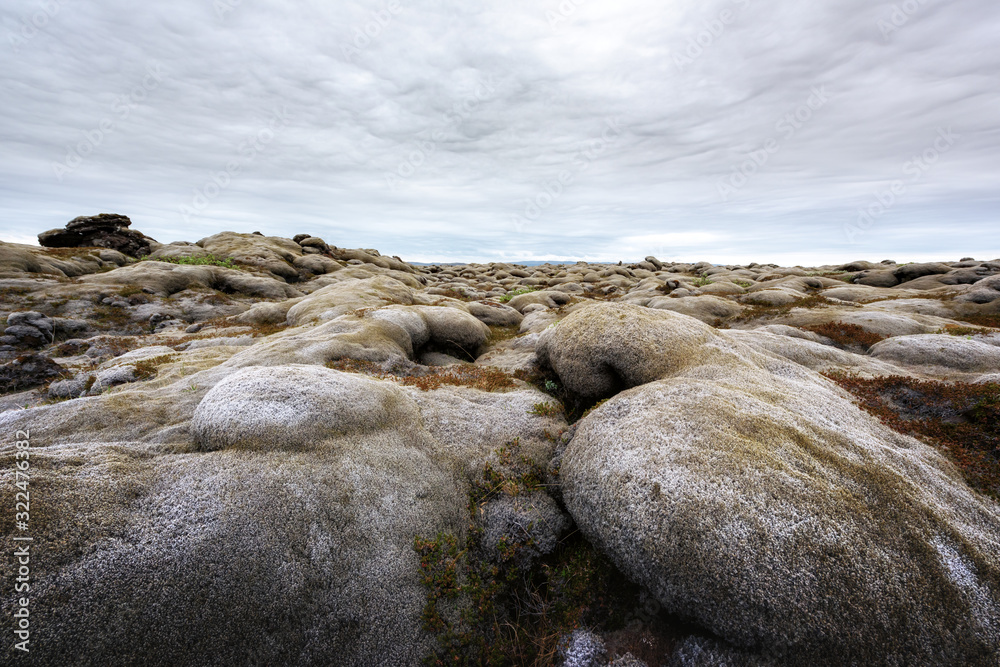 Different Iceland landscape with lava field covered with brown moss Eldhraun from volcano eruption a