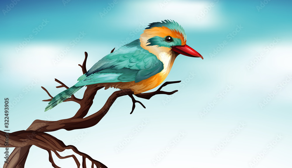 Cute bird on the wooden branch