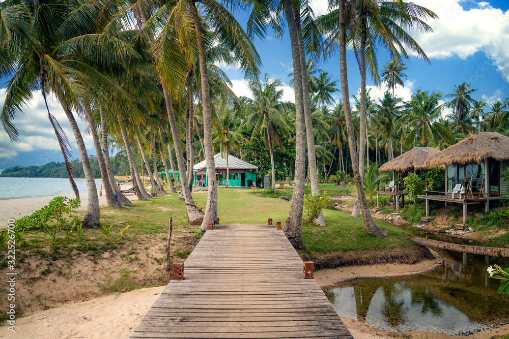 Koh mak岛的木桥和椰子树